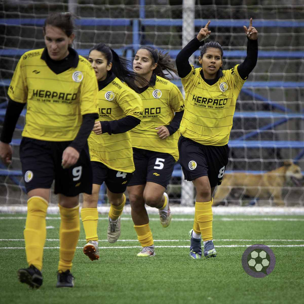 DEPORTIVO MERLO VS COMUNICACIONES – 27/07/2025